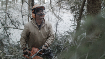 Bob and the Trees (2015) review