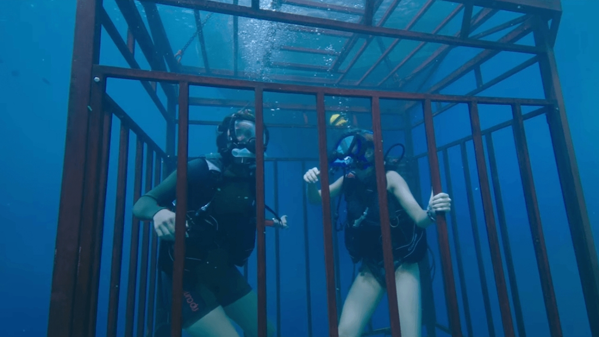 47 Meters Down (2017) review