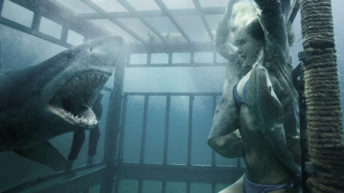 Shark Night 3D (2011) review