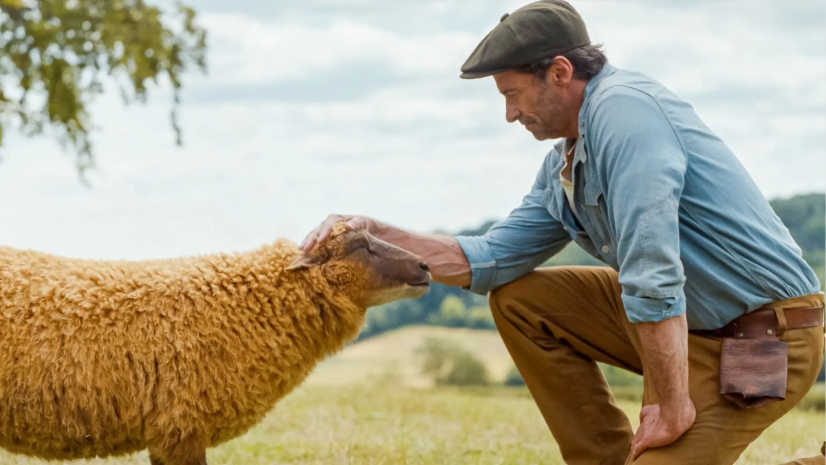 The Sheep Detectives (2026) review