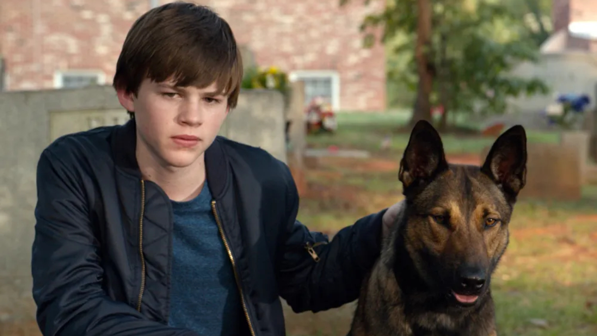 Max (2015) review